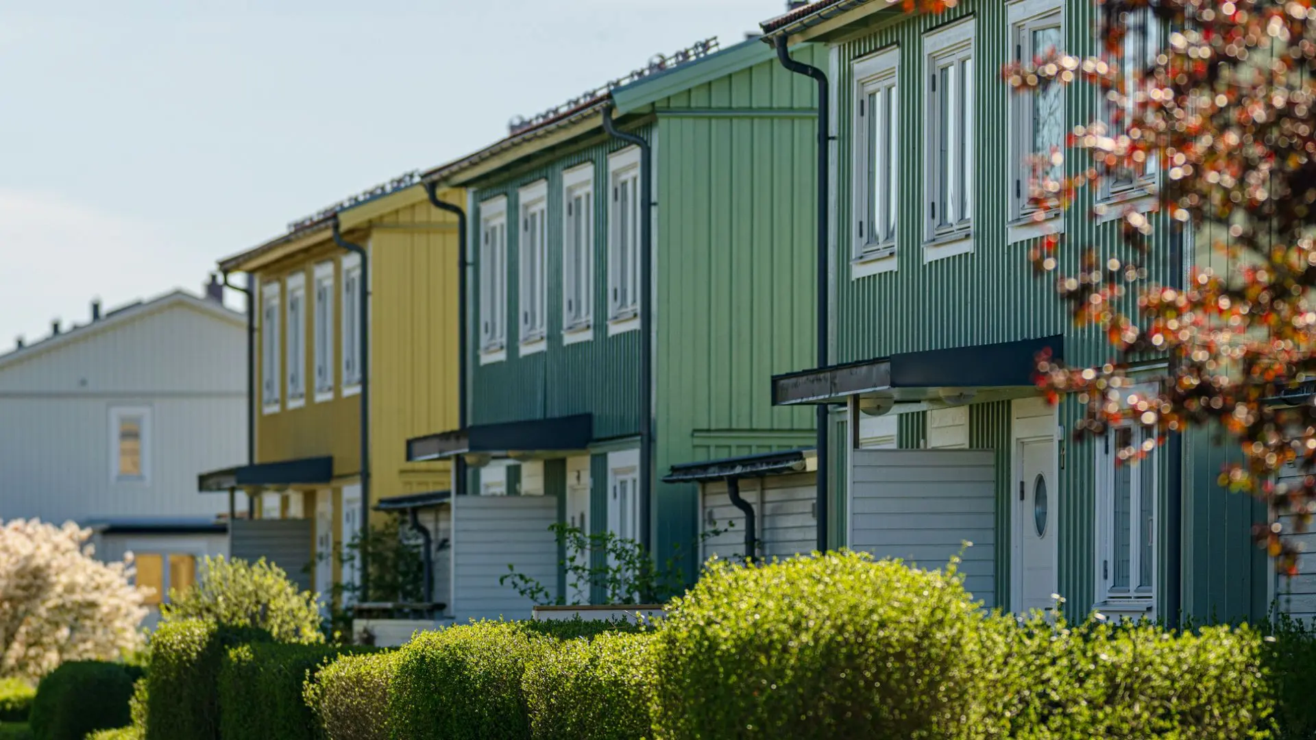 Puinen rivitaloyhtiö kesällä