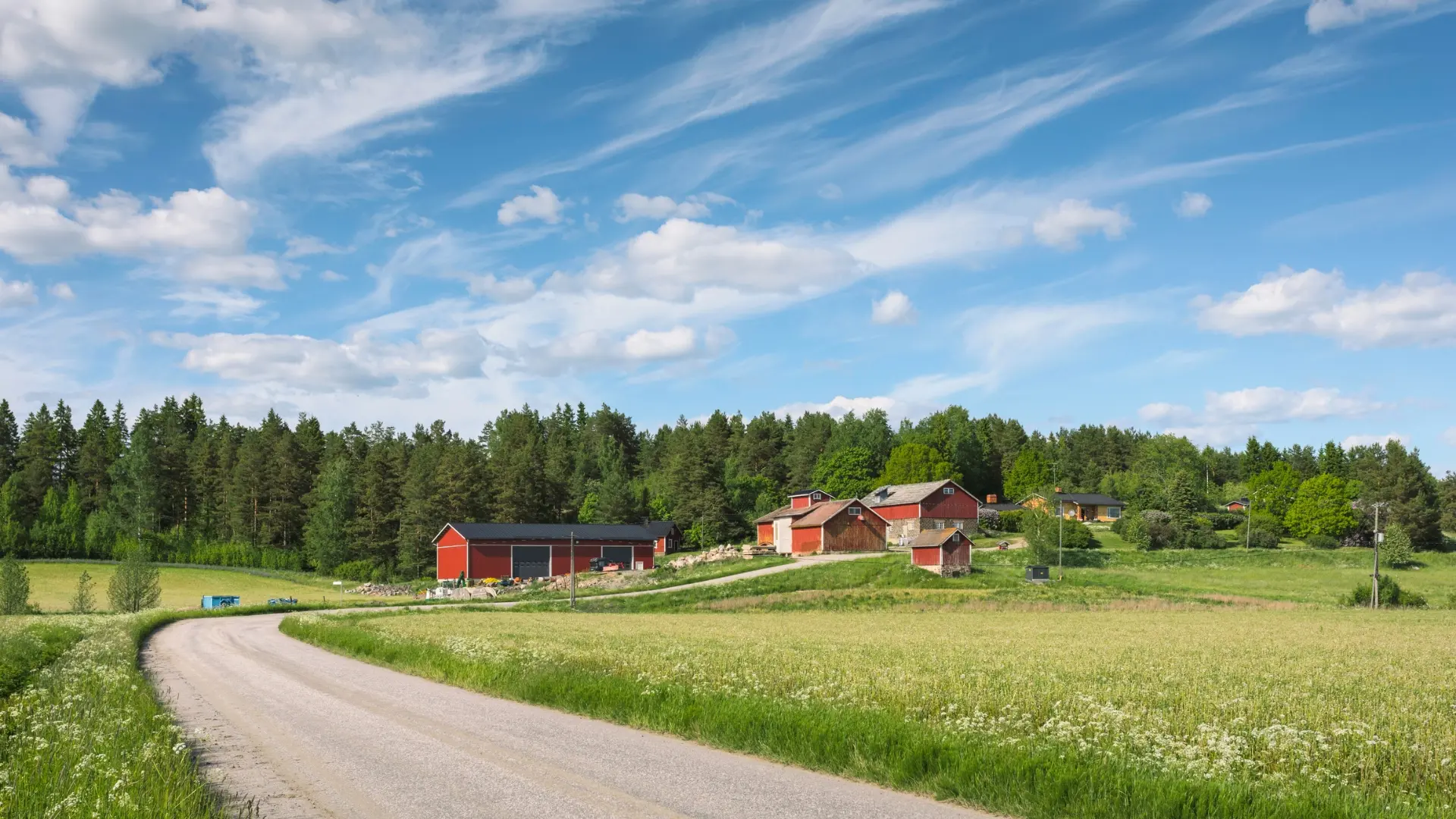 maaseutumaisema jossa peltoa, tie ja taloja